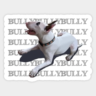 BULLYBULLYBULLY Sticker